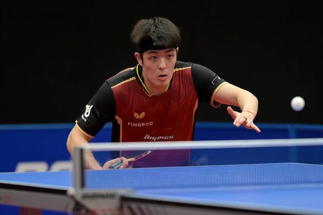 量化的因素 量化的因素